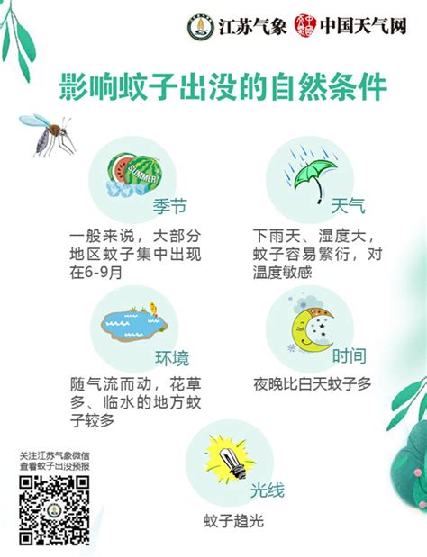 全国首个"蚊子预报"发布 14省市陷驱蚊大战_云桥网
