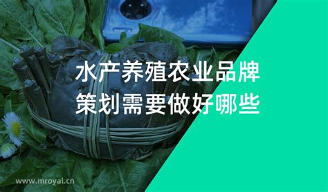 水产养殖 - 上海邦伯 - 邦伯农业 - 上海邦伯现代农业技术有限公司