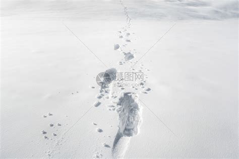 滑雪者下坡高清图片下载-正版图片501510977-摄图网