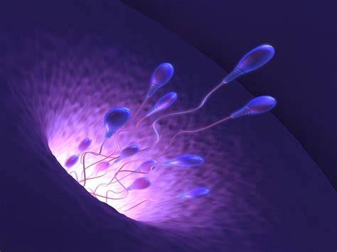 JMT日本干细胞中心-体外受精的流程和最佳治疗时间，干细胞能起到何种作用