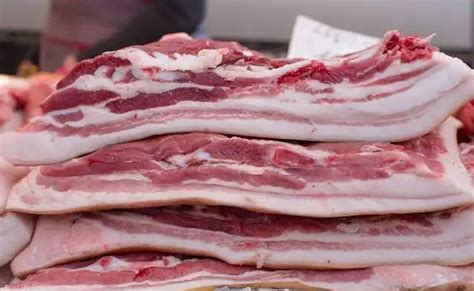 今日猪肉价格|猪肉价格行情表|猪肉价格走势 - 生猪全产业链垂直门户资讯网站！