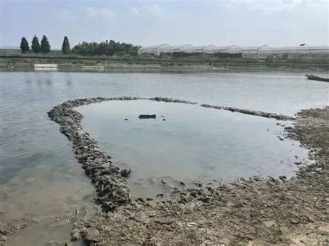 鱼塘堤围被冲垮，广东揭阳揭西一养殖户损失十几万元_水产快讯（水产养殖）_水产养殖网