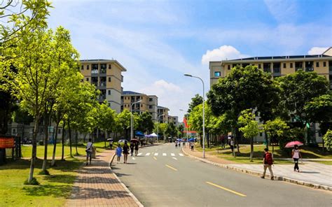 东莞未来学校来了！今年9月开学，招生范围公布|东莞市|初中|开学_新浪新闻