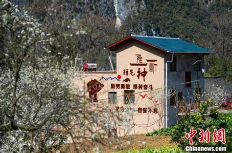 重庆巫山下庄村 “绝壁天路”变致富路 - 上游新闻·汇聚向上的力量