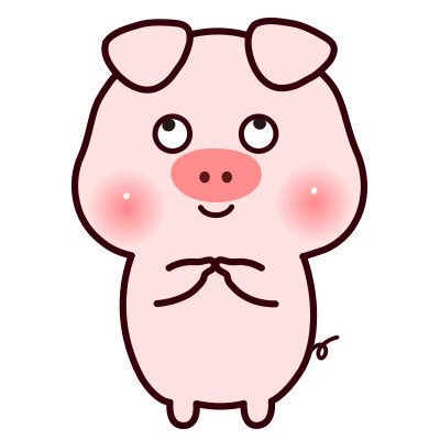 小笨猪图片