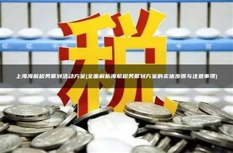 上海海航税务筹划活动方案(全面解析海航税务筹划方案的实施步骤与注意事项) - 灵活用工平台