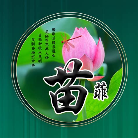 非主流荷花姓氏头像