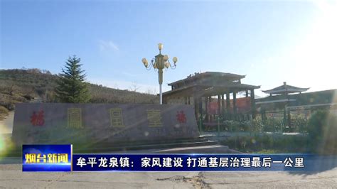 揭西县上砂镇龙门村大水坑桥改建工程通过验收顺利通车