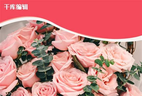 营销海报-花店鲜花玫瑰情人节促销粉色创意海报 -图司机