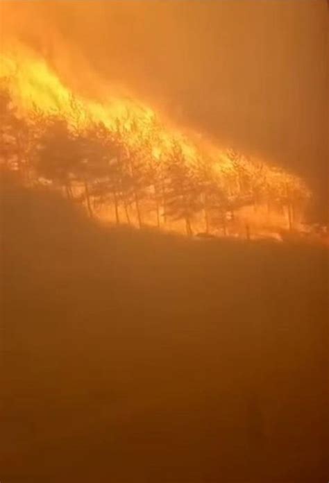 【凉山森林火灾牺牲英雄名单公布，3.30四川凉山火灾最新消息|这是一份沉重的名单。消防员】_傻大方