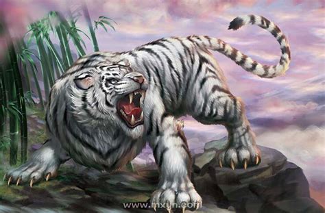 攻击性的老虎插画图片下载-正版图片600189834-摄图网