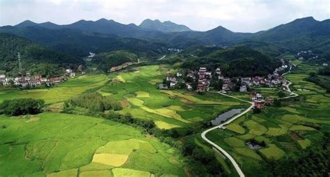 【喜报】600年古村港头，将打造广州乡村振兴示范村！