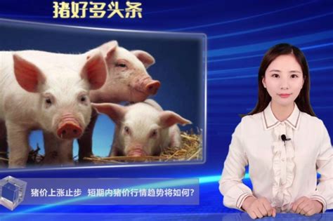 2019年猪价行情预测 明年养猪行情怎么样？猪价专家逐月分析-国内新闻