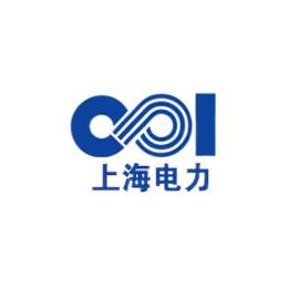 上海电力 - 上海电力公司 - 上海电力竞品公司信息 - 爱企查