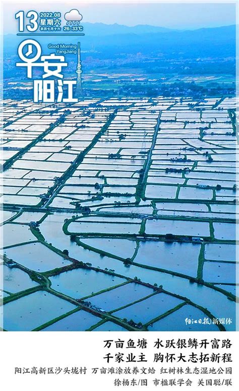 2023年阳江市（东莞）产业招商推介会召开 - 园区世界