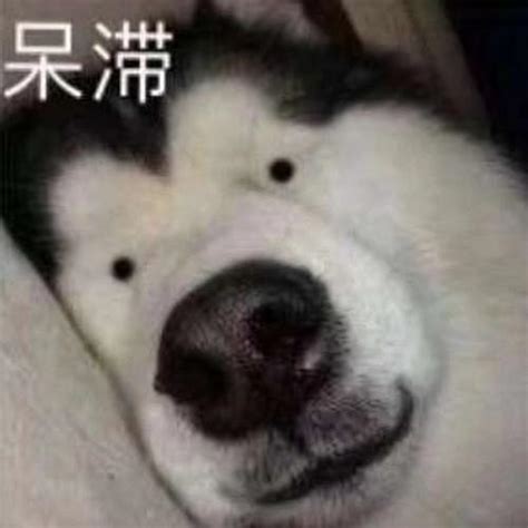 表情包百度图片