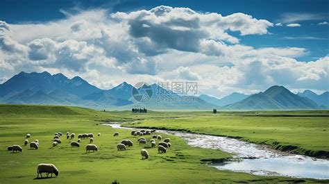 新疆草原牧场高清图片下载-正版图片600491301-摄图网