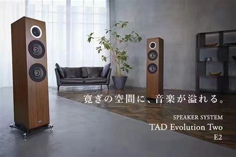 日本 TAD Evolution One E1TX 落地式音箱_音箱系列_爱声音响,音响发烧站,二手音响,发烧音响 - 音响贵族网