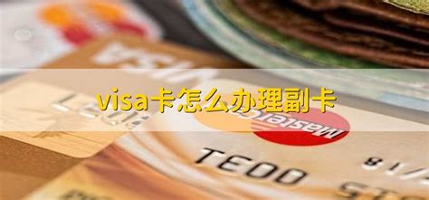 双币卡和visa卡的区别 - 财梯网