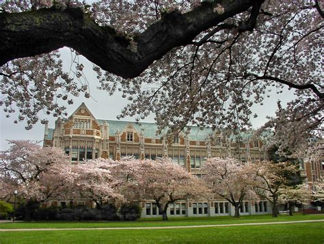 2020 华盛顿大学西雅图有学分在线课程 - 翰林夏校
