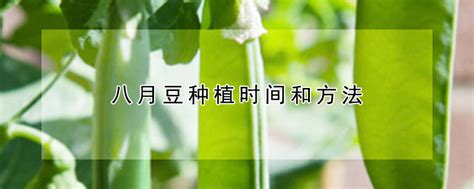 《带着变异动植物在末世苟活》小说在线阅读-起点中文网
