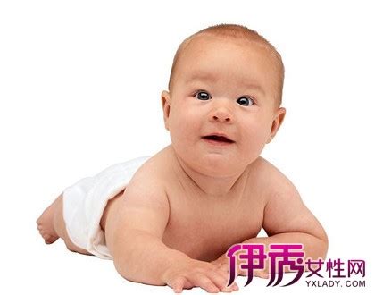 【八个月宝宝可以吃干贝】【图】八个月宝宝可以吃干贝吗 宝宝菜谱大推荐(3)_伊秀亲子|yxlady.com