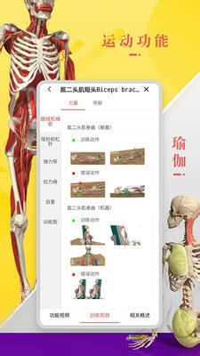3Dbody解剖学软件下载-3Dbody解剖图手机版下载-腾牛下载
