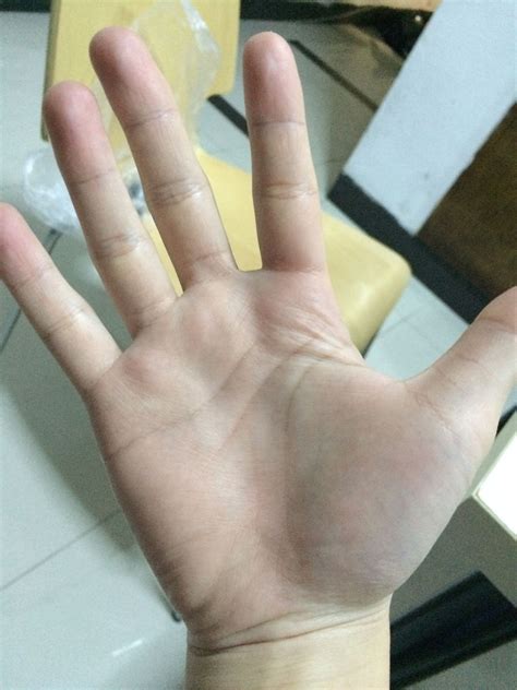 左手的掌纹图片