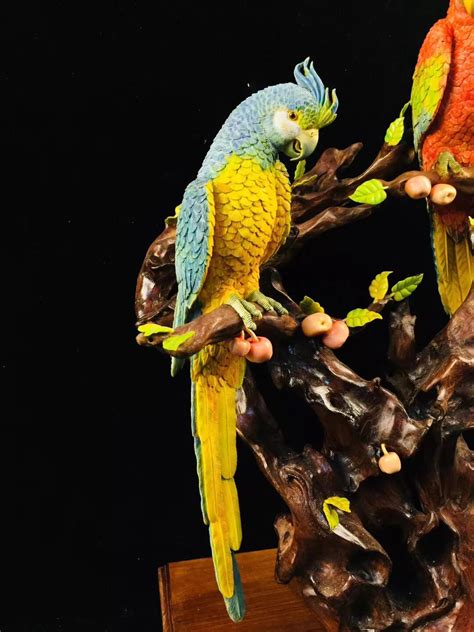 研究称鹦鹉会在幼鸟刚出生没多久就给它们取好了名字 - 神秘的地球 科学|自然|地理|探索