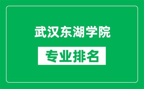 武汉东湖学院Word模板下载_编号loxrkada_熊猫办公