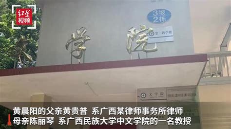 “22岁大学生杀害父母”案嫌疑人黄晨阳已被逮捕_凤凰网视频_凤凰网
