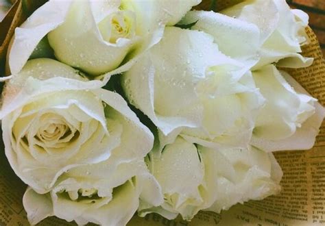 21朵玫瑰花语每朵代表什么(21朵白玫瑰代表什么意思 21朵白玫瑰花语) - 【爱喜匠】
