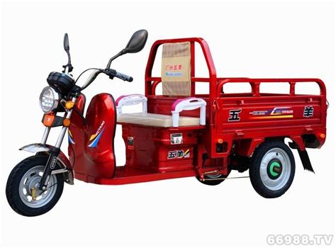 【图】广州五羊 WY1500DZH-4 电动三轮车整车外观图片-电动力