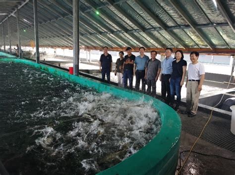智能渔业养殖控制系统 智慧水产养殖监测系统