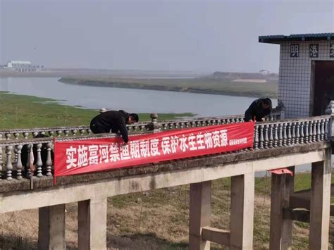 阳新富河流域80公里实行全面禁渔-阳新县人民政府