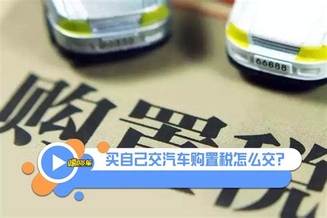 新车购置税网上缴纳流程（广州新车购置税网上缴纳流程）_犇涌向乾