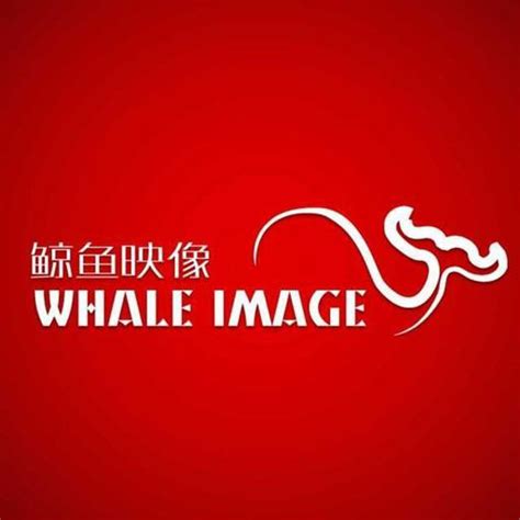 周德成 - 北京鲸鱼映像影视文化传媒有限公司 - 法定代表人/高管/股东 - 爱企查