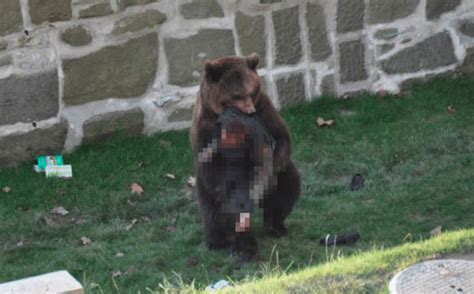 《人蛇浴血战》：考察小队半路偶遇受伤大黑熊，大黑熊报恩救了他们一命