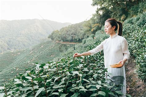 温柔卖茶头像女生图片
