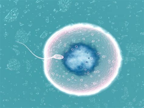 怎么知道自己的胚胎质量是好还是不好？_澎湃号·湃客_澎湃新闻-The Paper
