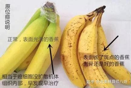 中国香蕉行业现状深度分析与未来投资研究报告（2022-2029年）_观研报告网