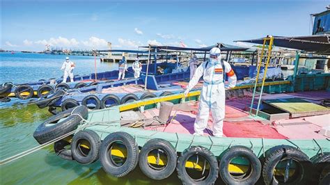 儋州白马井码头：加强防疫消杀为恢复生产做准备_海口网