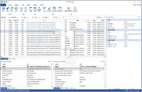 网站开发调试工具——HTTP Debugger Pro汉化版-CSDN博客