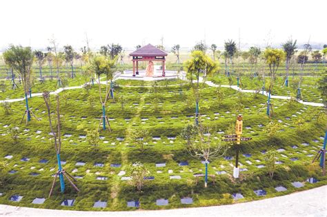 三年内公益性公墓服务覆盖湖北省县市--湖北文明网