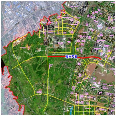 【项目为先】未来科学城两条路网建设传来消息 | 红谷滩区人民政府