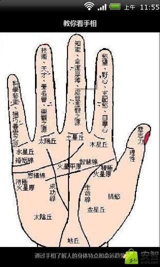 各种手相手纹你懂得怎么看吗 手相-周易算命网