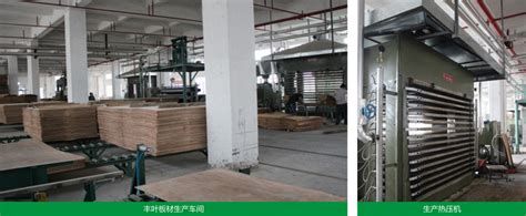中国板材十大品牌-生态板10大品牌-东莞市丰叶木业有限公司