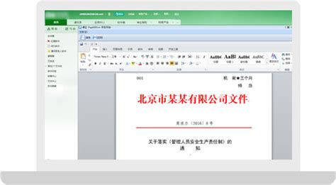 卓正软件 - PageOffice官方网站 - 在线编辑Word、Excel的Office文档控件