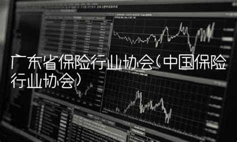 广东省保险行业协会(中国保险行业协会) - 天眼金融