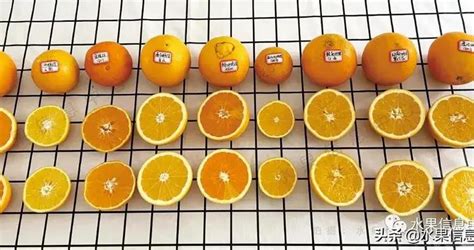【作业】入手欧米茄海马po8900 四分之一橙 交简单作业|腕表之家xbiao.com